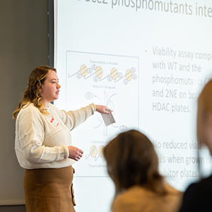 Academic program support